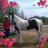Sandra Petrie - @sandrapetrie - TikTok