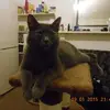 Sandra Petrikauskiene - @sandra.petrikausk - TikTok