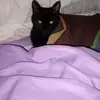 Sandra Patricia - @sandrapetrini6 - TikTok