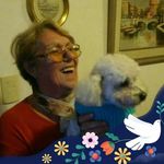 Sandra Petrini - @sandra.petrini.129 - Instagram