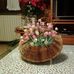 Sandra Petrini - Facebook