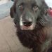 Sandra Petrowski - Facebook