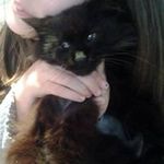 Sandra Petrucci - @petrucci7314 - Instagram