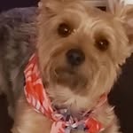 Yvonne Sandra Pettitt - @yvonnesandrapettitt - Instagram