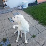 Sandra pfefferkorn - @sandrapfefferkorn1 - Instagram