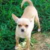 Sandra Pfundstein - @sandra.pfundstein - TikTok