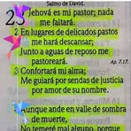Sandra Picado - Facebook