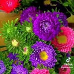Sandra Picado - Facebook