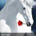 Sandra Pich - Facebook