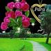 Sandra Pich - Facebook