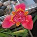 Sandra Pickrell - Facebook