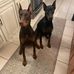 Sandra Pickrell Baker - Facebook