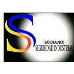 Sandra Pico-Seguridad Industri - @seguridadindustrialsp - Instagram