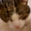 Sandra Picone - @sandra.picone - TikTok