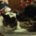Sandra Picone - Facebook