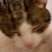 Sandra Picone - Facebook