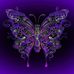 Sandra Pierini - Facebook