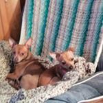 Sandra Pierini - @sandt123ssss - Instagram