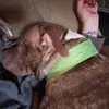 sandra__spiker22 - @sandra__spiker00 - TikTok