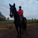 Sandra Pikulik - Facebook