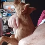 Sandra Pilcher - @pilcher1287 - Instagram