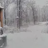 Sandra Pilcher - @sandra.pilcher - TikTok