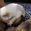 sandrapilcher933 - @sandrapilcher933 - TikTok