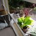 Sandra Pillai-Jack - Facebook
