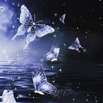 Sandra S Pillai - @sandras2452 - Instagram