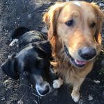 Sandra Pinder - @pinder.sandra - Instagram