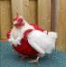 Sandra Pineau - Facebook