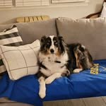 sandy pines - @sandypines10 - Instagram
