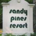 Sandy Pines - @sandy_pines - Instagram