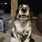 Sandy Pines - @pinessandy - Instagram