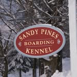 Sandy Pines Kennel - @sandypineskennel - Instagram