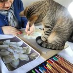 Sandra Pinilla - @sandra_piniart - Instagram