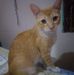 Sandra Pino - Facebook