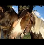 Sandra Pinant - Facebook