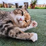 Sandra Piras - @sandra.piras73 - Instagram