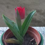 Sandra Piras - Facebook