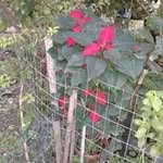 Sandra Piras - @sandra.piras.7773 - Instagram
