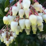 sandra piras - @piras7555 - Instagram