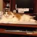 Sandra Pittaro - Facebook