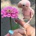 Sandra Pitz - Facebook