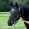 sandraopitz0 - @sandraopitz0 - TikTok