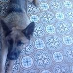 Sandra Place - @sandra.place.902 - Instagram