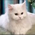 Sandra Plama - Facebook