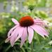 Sandra Plasse Photographie - Nature - Facebook