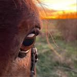 Sandra Plate - @s.plate1 - Instagram