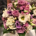 Sandra M. Platz - @sandram.platz - Instagram